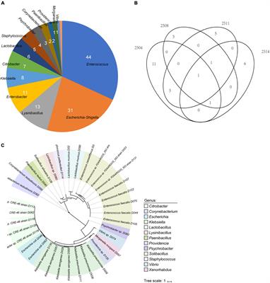 Cultivation and Genomic Characterization of the Bile Bacterial Species From Cholecystitis Patients